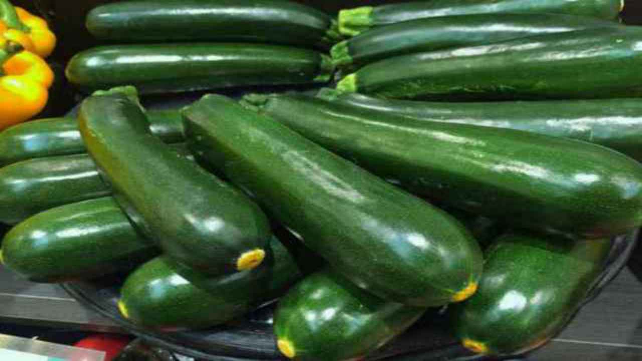 zucchine raccolto verdure