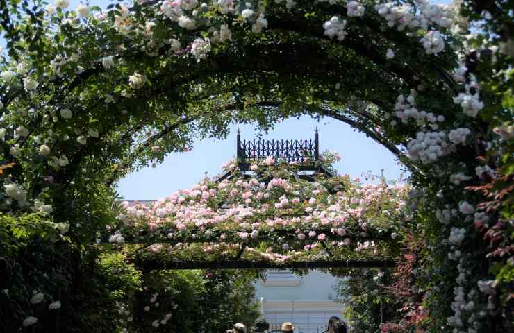 arco giardino fiori