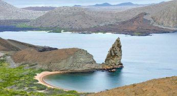 Galapagos, la scoperta fa il giro del mondo: barriera corallina intatta