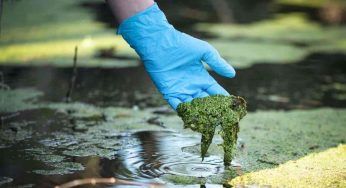 Reato di ecocidio approvato dall’Unione Europea: cos’è