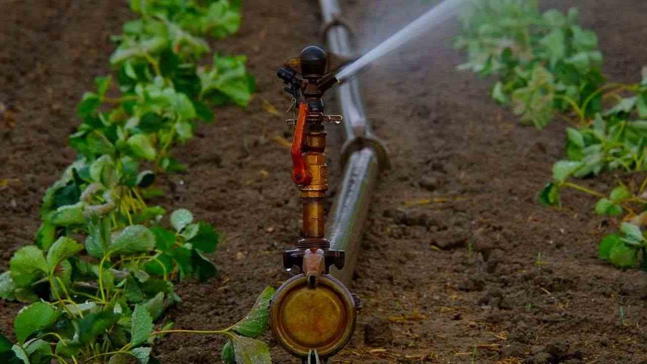 irrigazione campi 