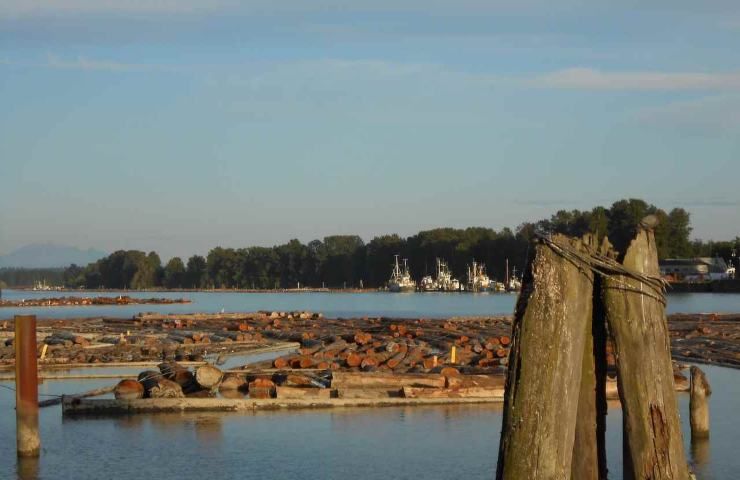 logjam tronchi fiume blocco