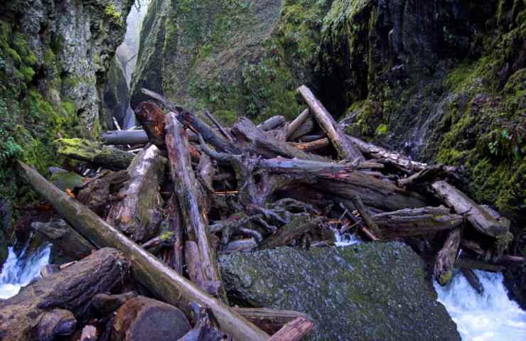 logjam come si sono formati