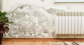 Elimina l’umidità in casa: in tuo aiuto la pittura di sale