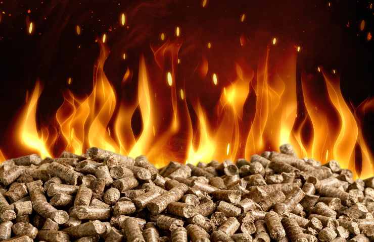 energia da combustione biomasse pulita