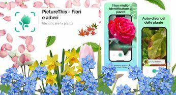 Picture this – fiori e alberi: l’app che non può mancare se hai un giardino