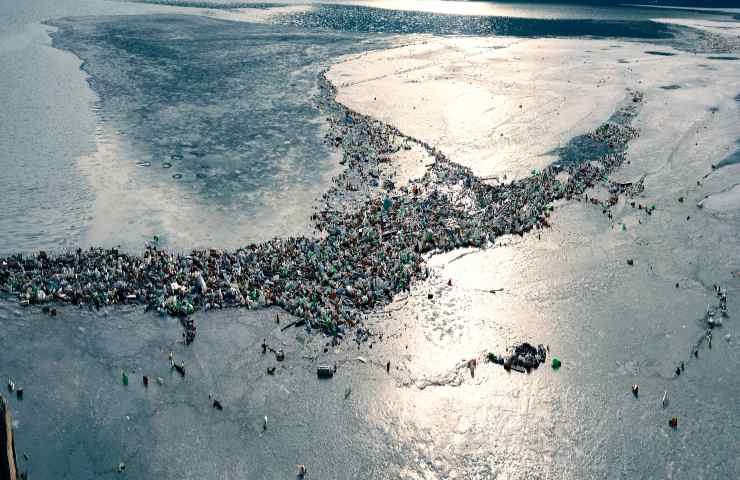 detriti plastica isola ecosistema