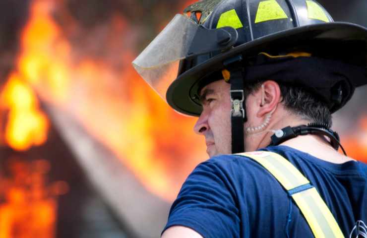 vigili del fuoco salvano cucciolo