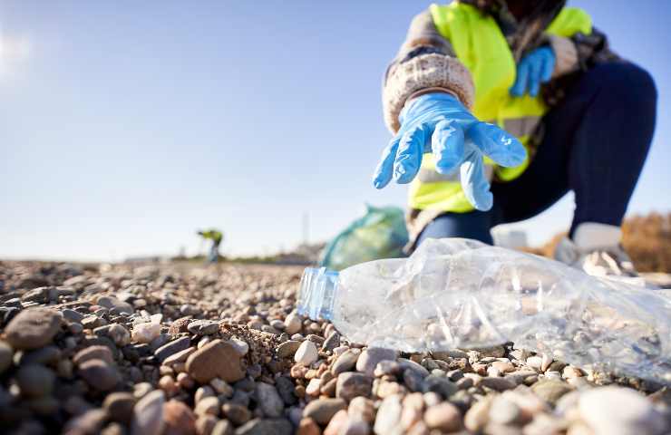 plastica degradata scoperta funghi