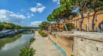 Pnrr, 6 milioni in alberi: che fine hanno fatto?