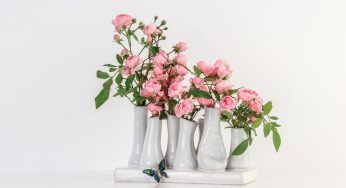 Roselline, prenditene cura in questo modo e dureranno più a lungo