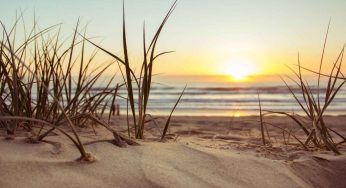 Dischi di plastica ritrovati sulle spiagge: cosa sono