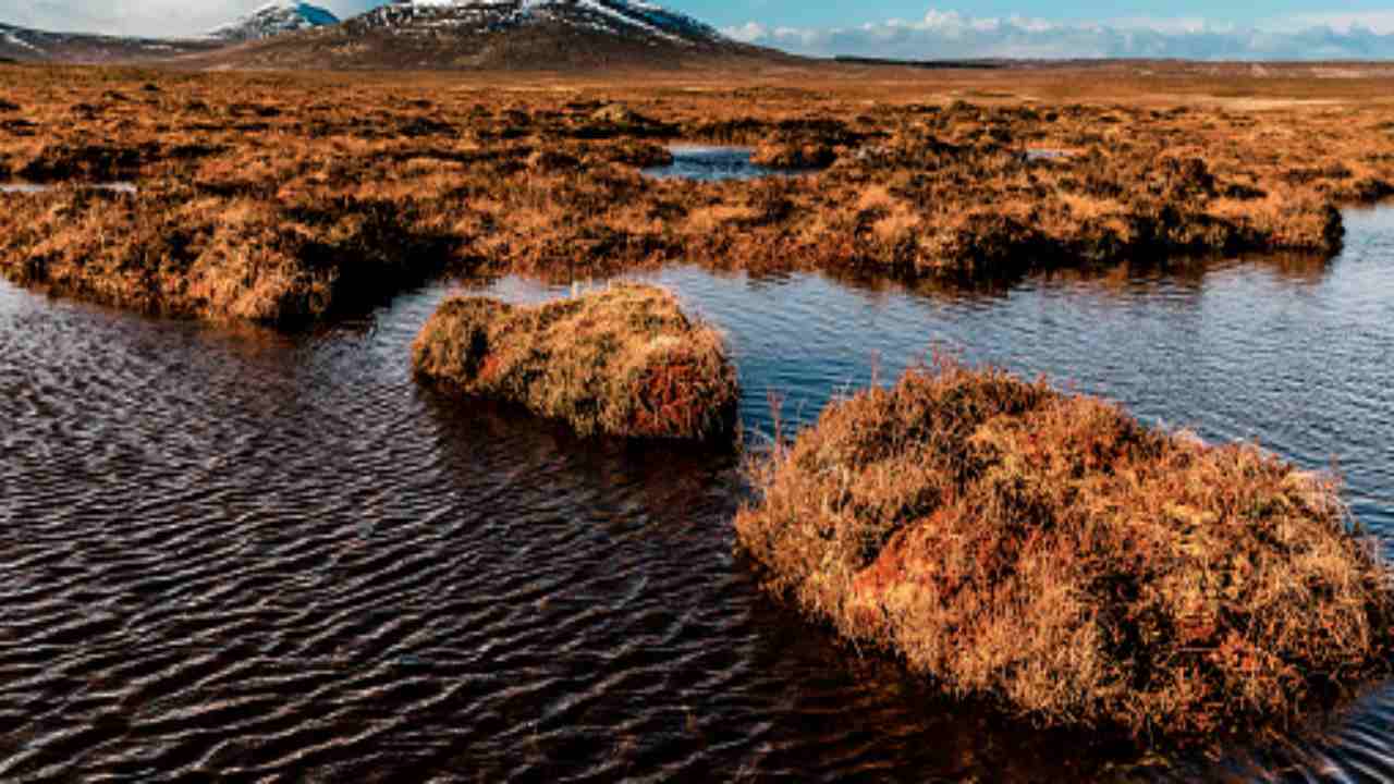 torbiere aiutano il clima