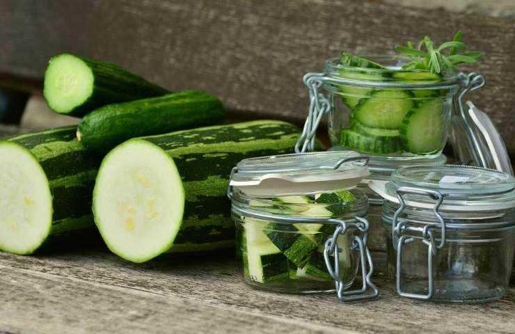 zucchine coltivazione