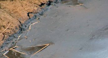 Sversamento di liquami nel fiume: lanciato l’allarme
