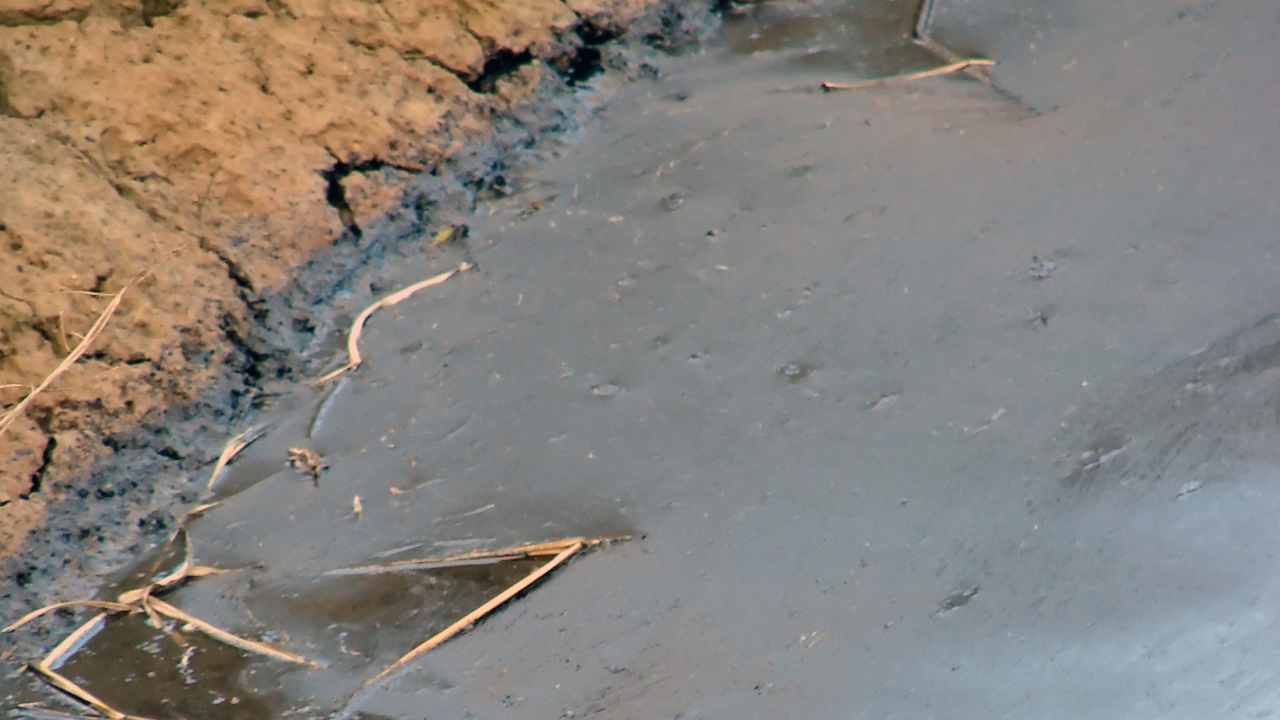 Sversamento Di Liquami Nel Fiume Lanciato L allarme