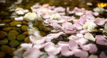 Acqua di rose: i suoi molti benefici e come prepararla in casa
