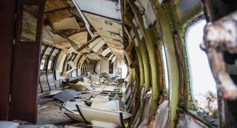 Grave incidente aereo: dopo 17 giorni trovati vivi quattro bambini, ma in realtà…