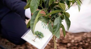 Bomboniere 2023: quest’anno diventano alberi. Scopri l’iniziativa