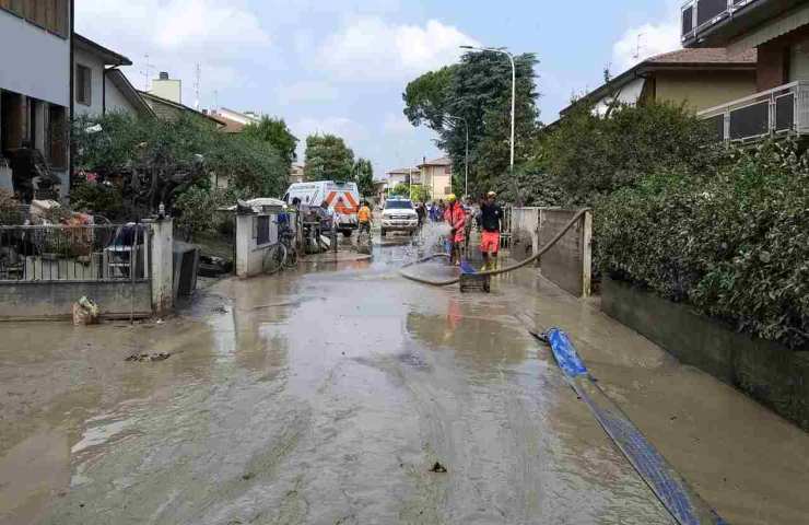 Maialino salvato alluvione petizione Chenge.org