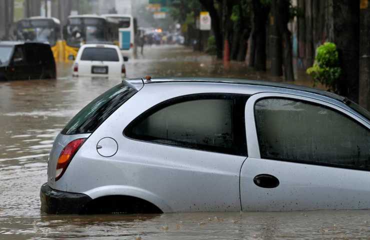 emilia romagna animali morti alluvione