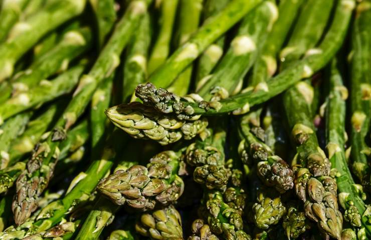 Asparagi