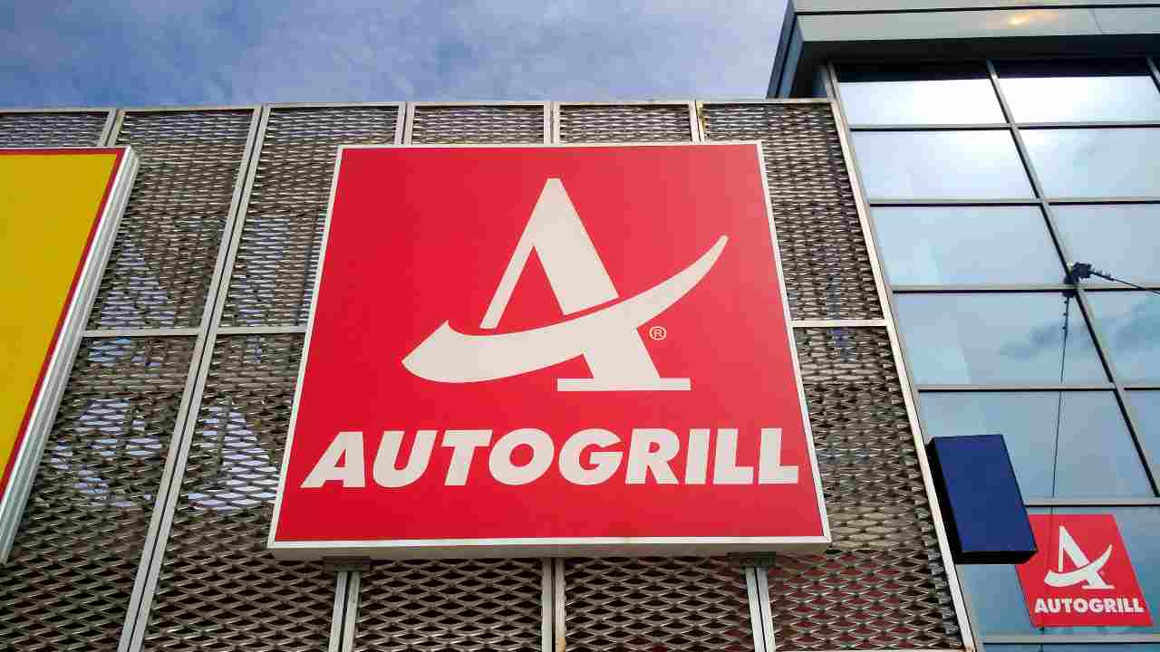 cani abbandonati autogrill