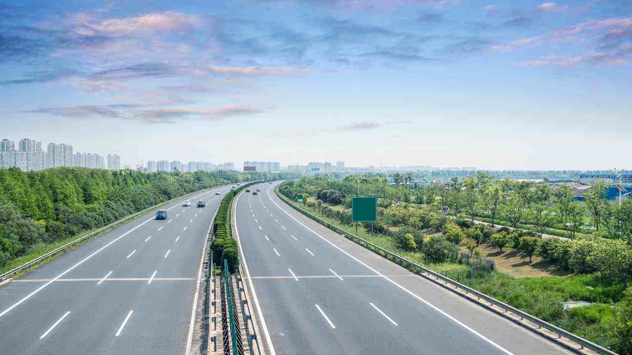 Cane autostrada video abbandono