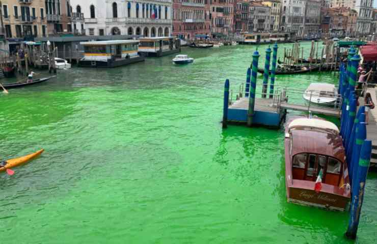 Canal Grande, l'acqua diventa verde 
