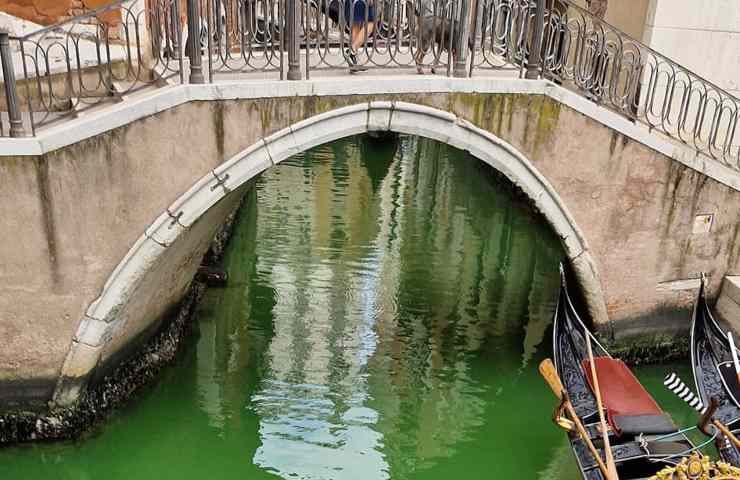 Venezia, il Canal Grande diventa verde