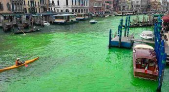 Venezia, l’acqua del Canal Grande verde fosforescente: cosa sta succedendo