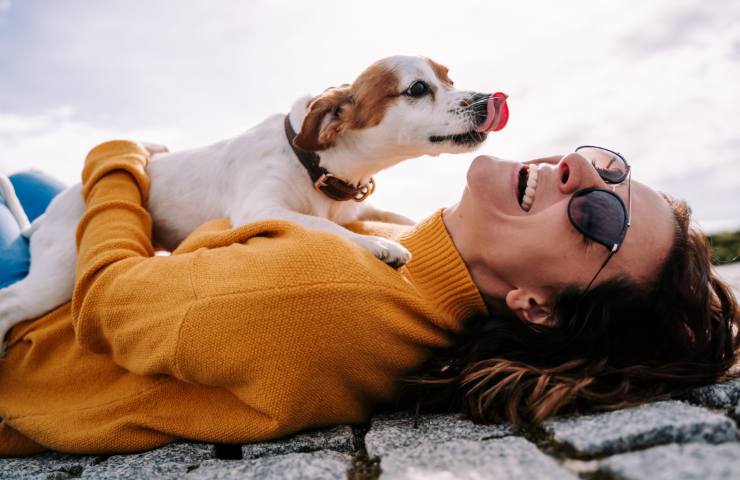 Amicizia uomo e cane