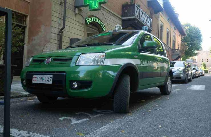 Brindisi pitone reale auto nascosto