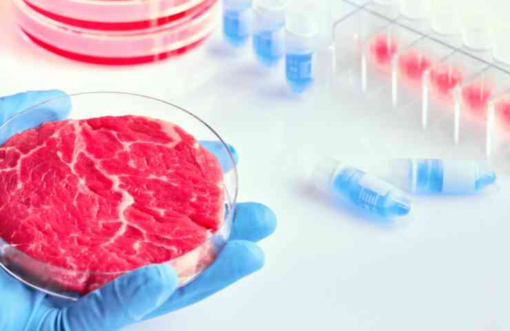 Carne sintetica impatto ambientale Coldiretti