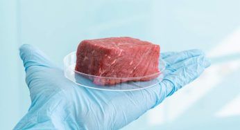 Carne sintetica, la ricerca: “Impatto ambientale più alto della carne bovina”