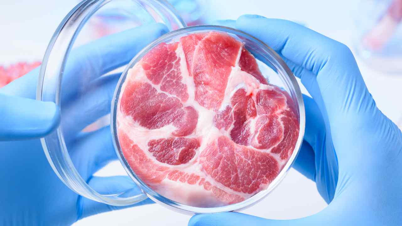 Carne sintetica impatto ambientale alto Coldiretti