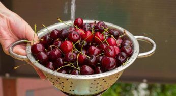 Lava le ciliegie senza eliminare il picciolo: ti spieghiamo perché