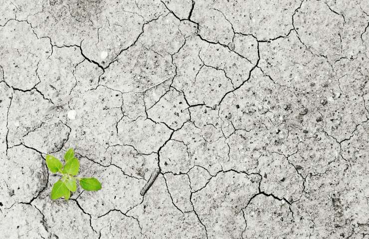 Cambiamento climatico