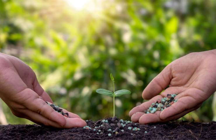 Fertilizzante fogliario