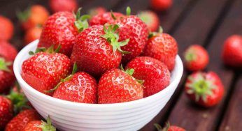 Fragole, come preparare il succo: ottimo per ricette dolci o da bere