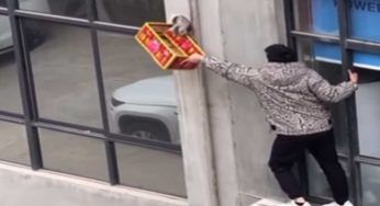 In bilico a metri di altezza su un condizionatore: tutto per salvare lui. Eroico il gesto