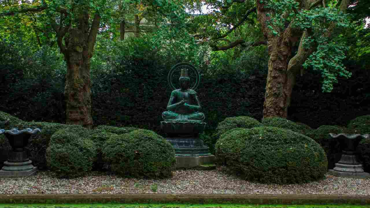 giardino giapponese consigli passaggi guida