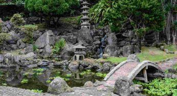 Giardino zen, puoi averlo anche in casa tua: preparalo così