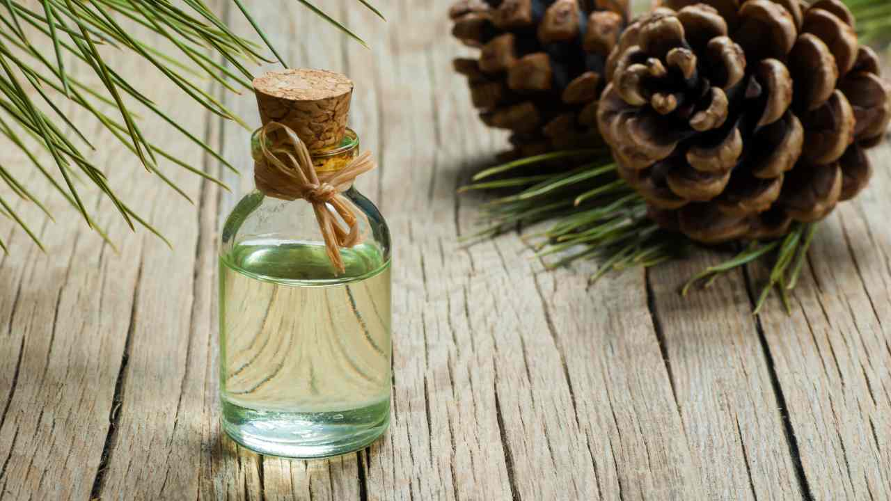 Arifoglu | Olio di Trementina di Pino 100% Puro Arlab