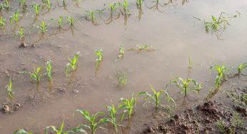 Emilia-Romagna, come è diventato il terreno dopo l’alluvione