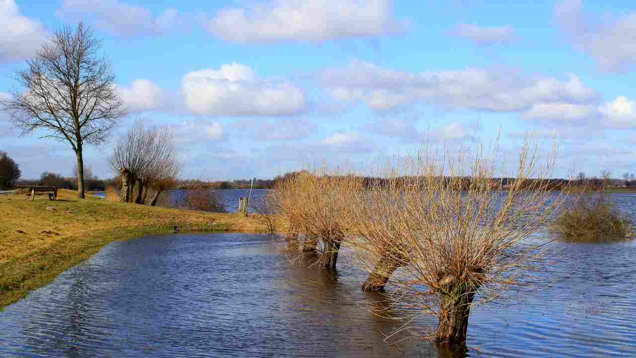 alluvione terreno non più fertile