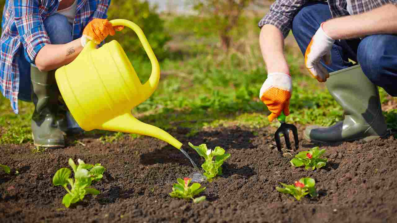 progetti bando transizione ecologica