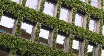 Canna da zucchero, la svolta del cemento nella bioedilizia