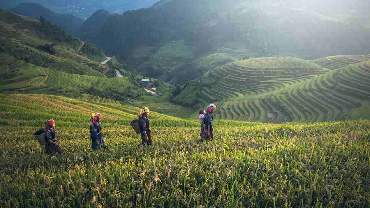 agricoltori azioni illegali Spagna