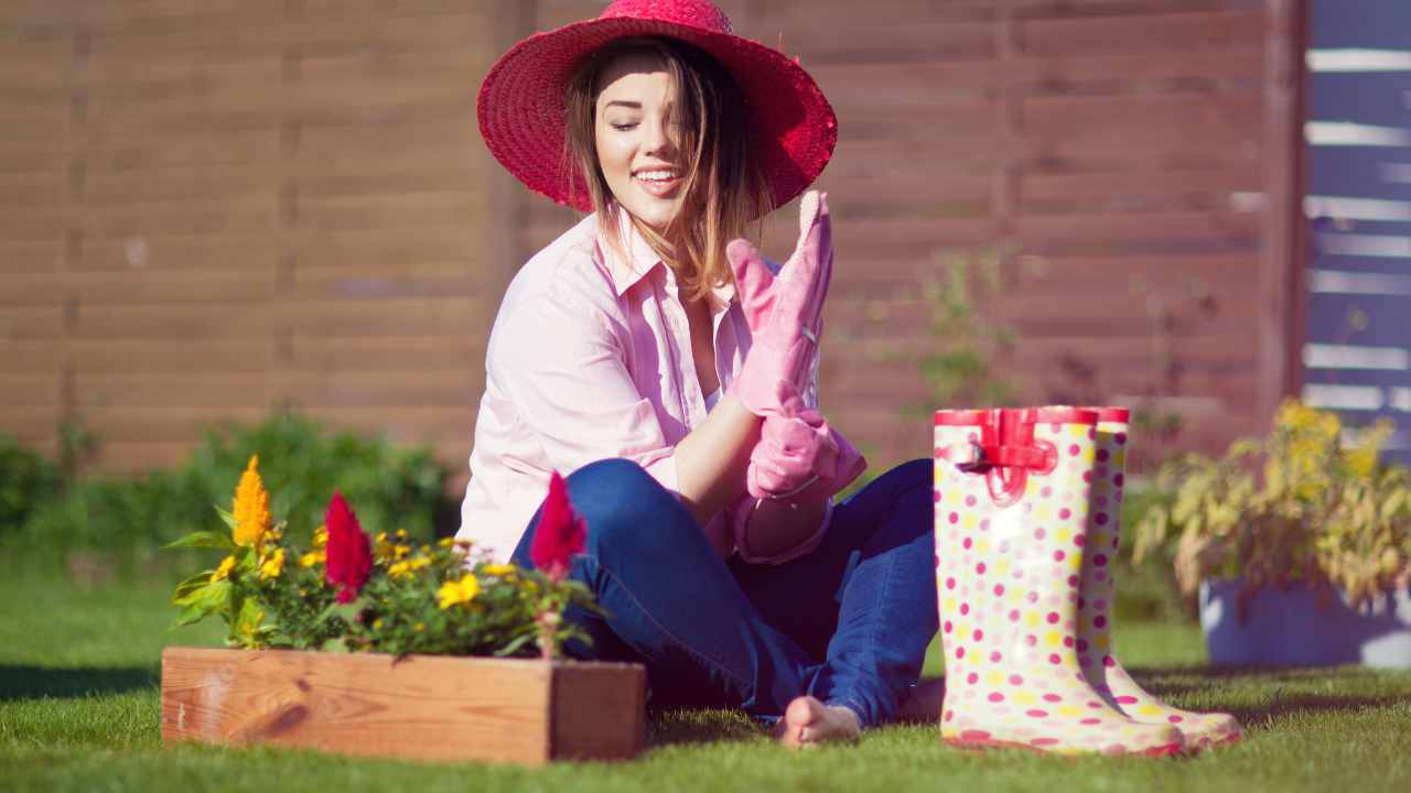 cura delle piante e del giardino